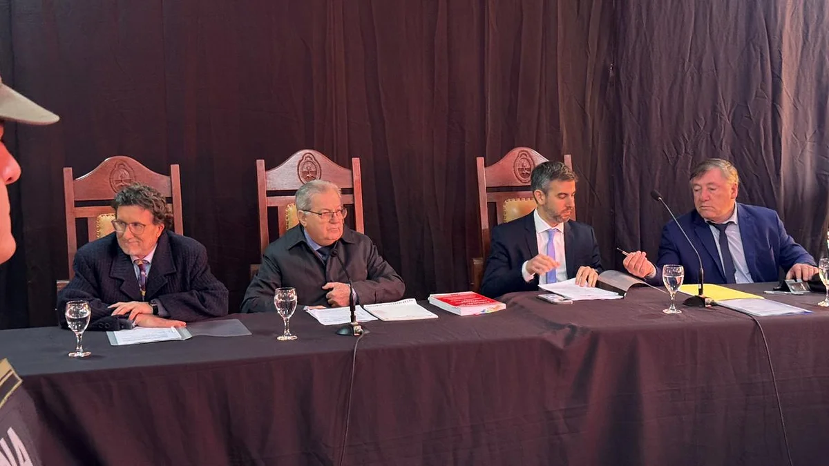 REINICIA EL JUICIO POR LOAN Y DECLARA UNA ESPECIALISTA CLAVE EN LA BÚSQUEDA